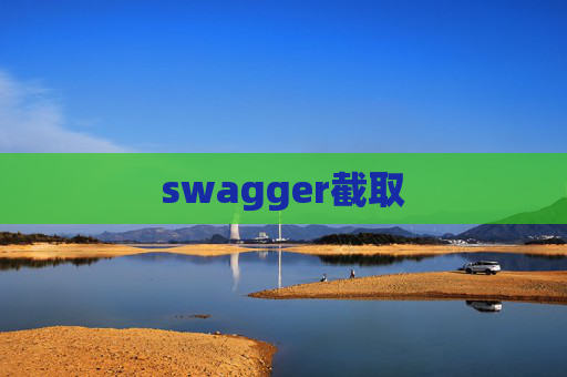 swagger截取